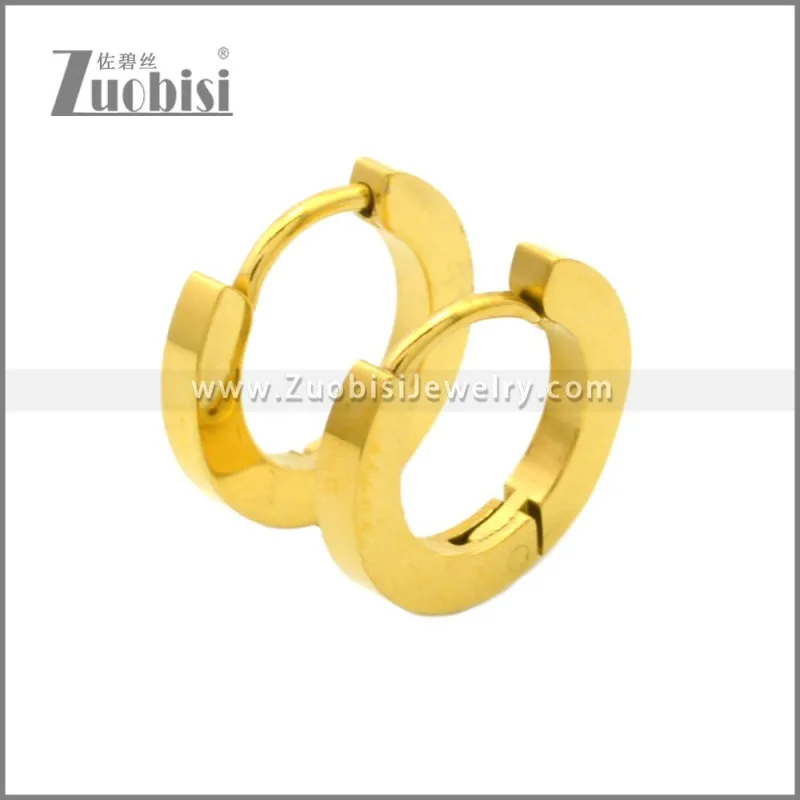 Stainless Steel Earring e002211G