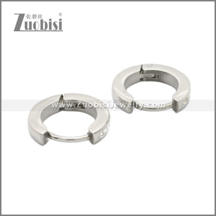 Stainless Steel Earring e002210S