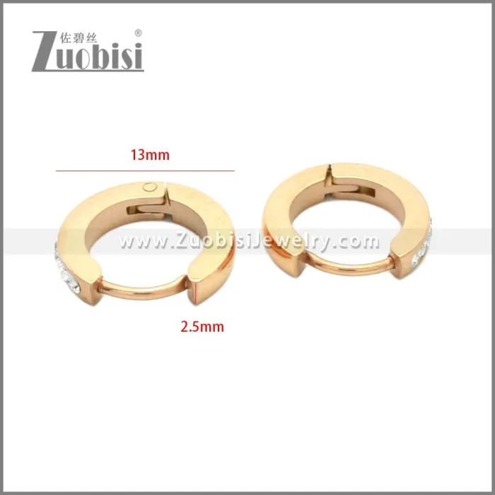 Stainless Steel Earring e002210R