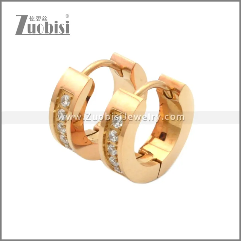 Stainless Steel Earring e002209R