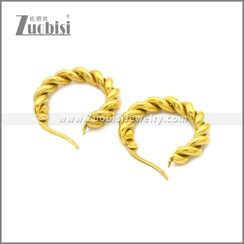 Stainless Steel Earring e002213G