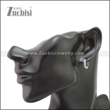 Stainless Steel Earring e002214S5