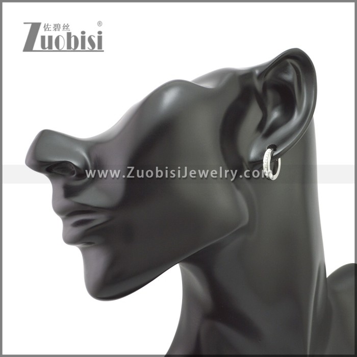 Stainless Steel Earring e002210S