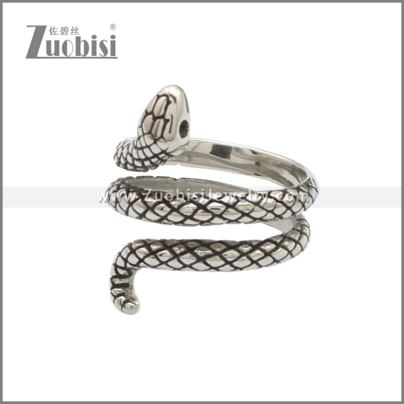 Stainless Steel Ring r008828SA1