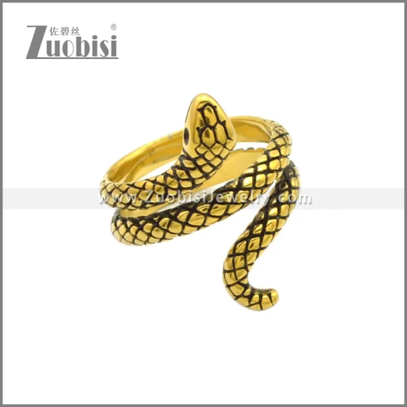 Stainless Steel Ring r008828GA2