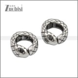 Stainless Steel Earring e002217SA
