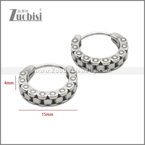Stainless Steel Earring e002238SA