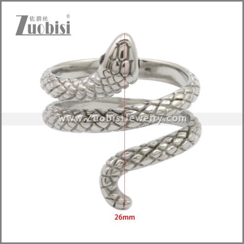 Stainless Steel Ring r009023S2