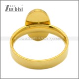 Stainless Steel Ring r009017G