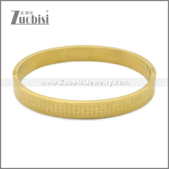 Stainless Steel Bangle b010148G2