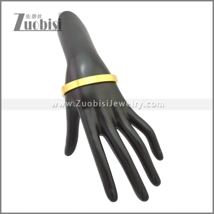 Stainless Steel Bangle b010148G2