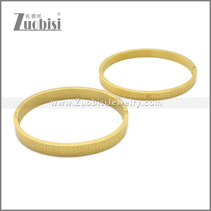 Stainless Steel Bangle b010148G2