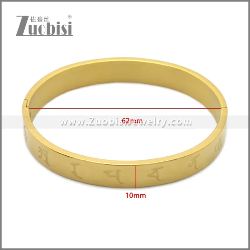 Stainless Steel Bangle b010146G2
