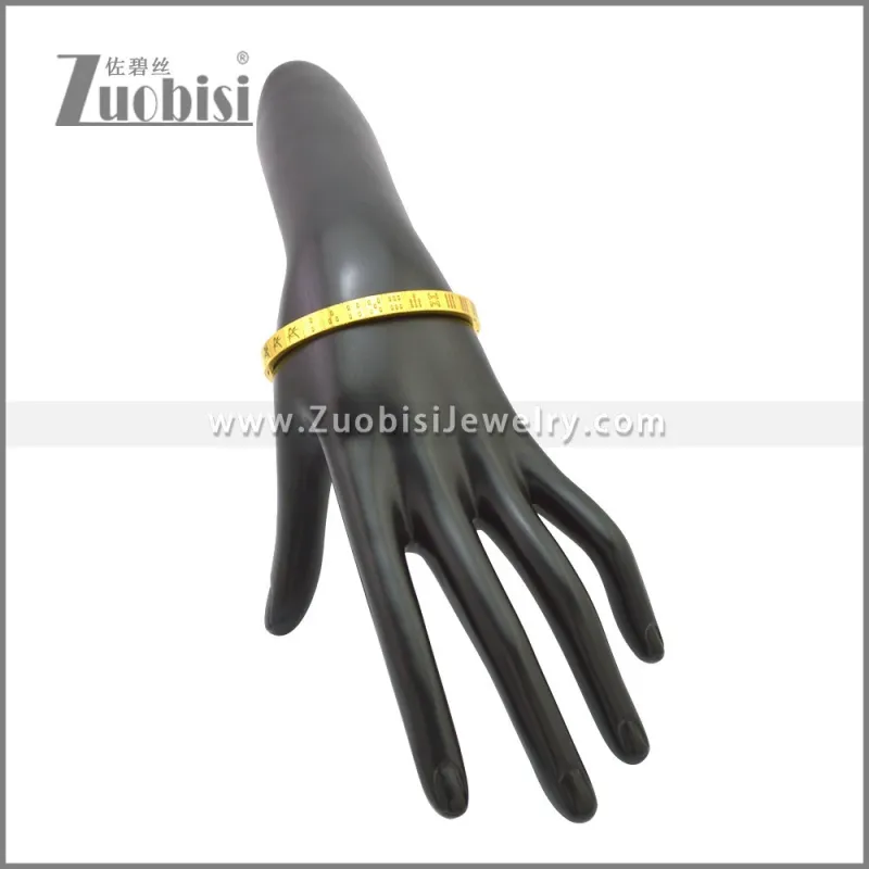 Stainless Steel Bangle b010157G