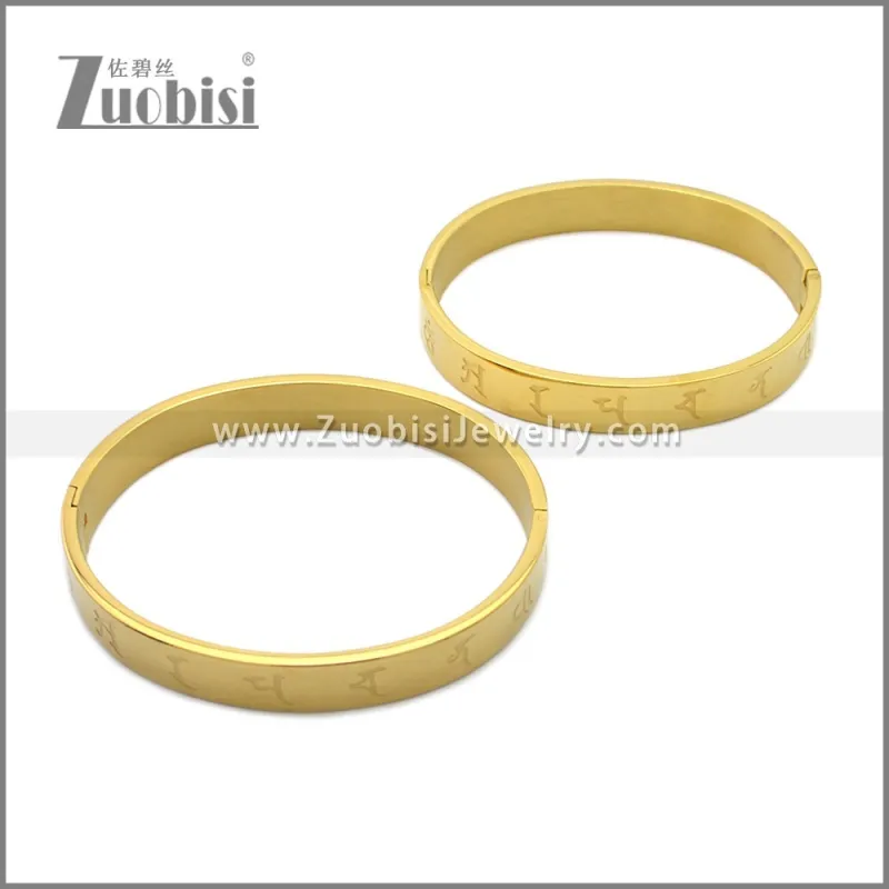Stainless Steel Bangle b010146G2