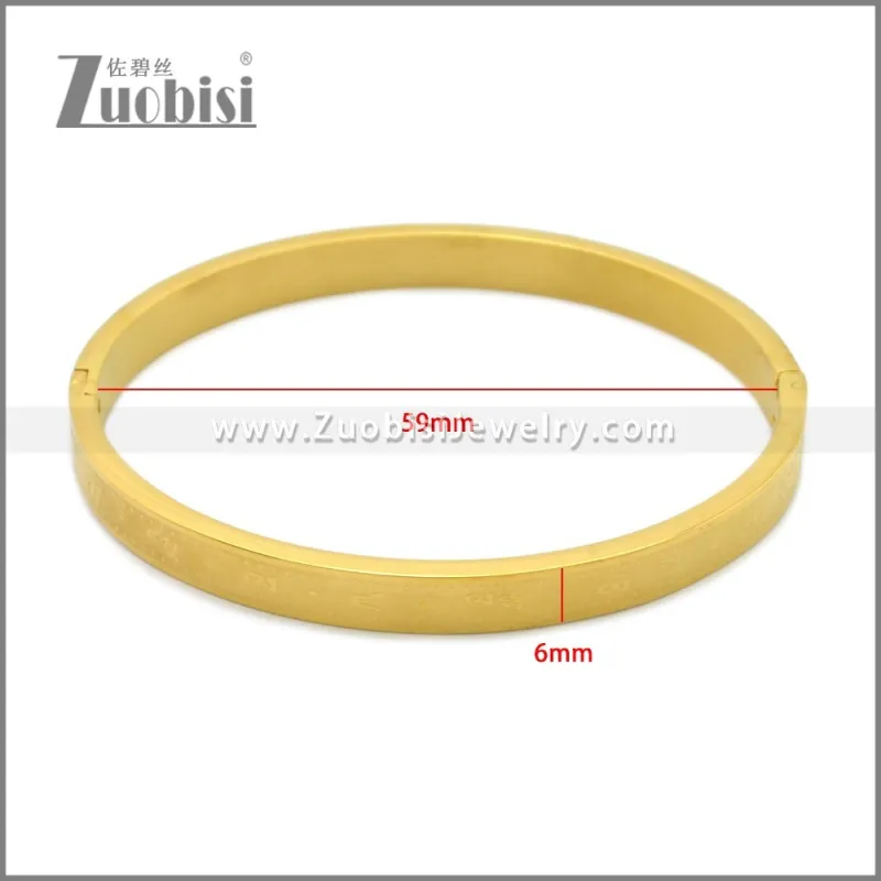 Stainless Steel Bangle b010149G2