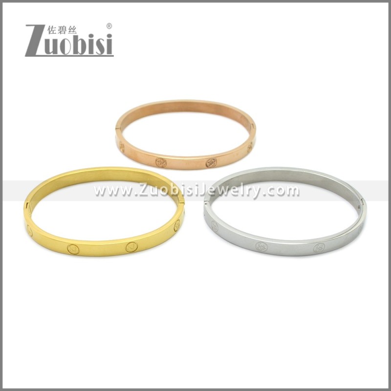 Stainless Steel Bangle b010151S