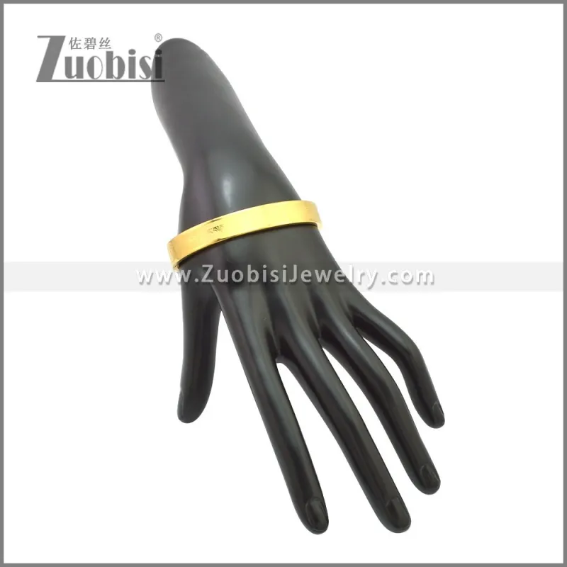 Stainless Steel Bangle b010150G1