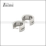 Stainless Steel Earring e002246S
