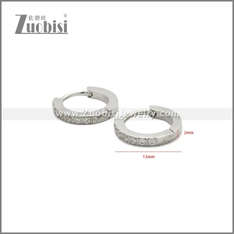 Stainless Steel Earring e002245S