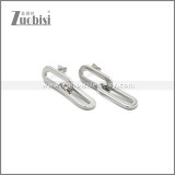 Stainless Steel Earring e002241S
