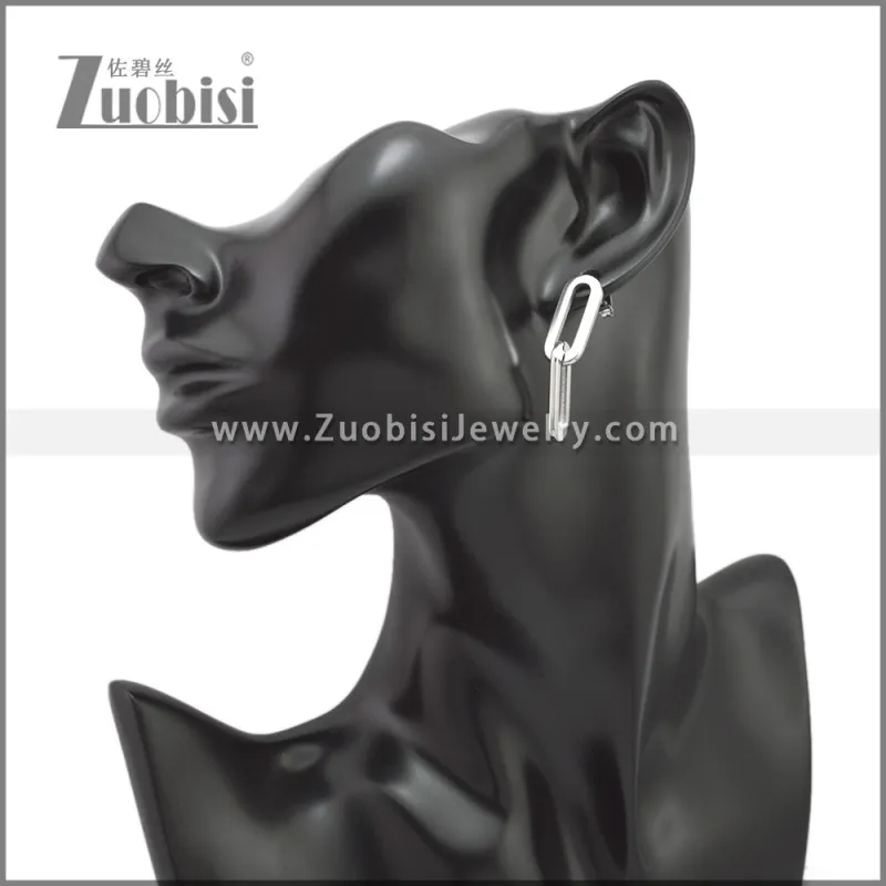 Stainless Steel Earring e002241S