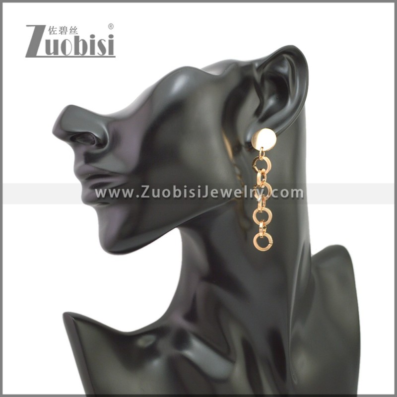 Stainless Steel Earring e002242R