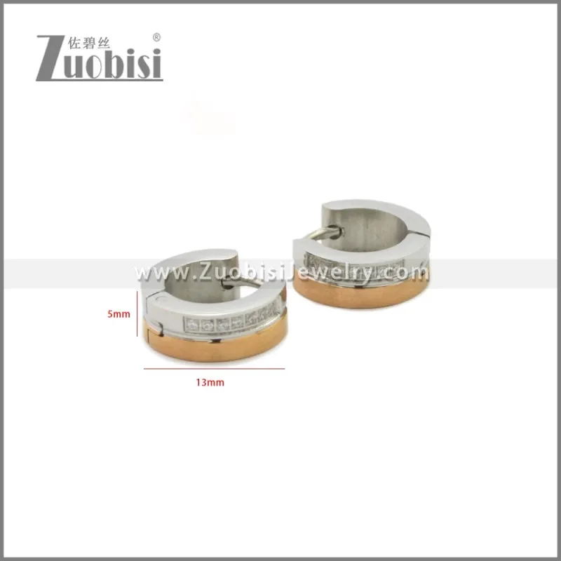 Stainless Steel Earring e002247SR