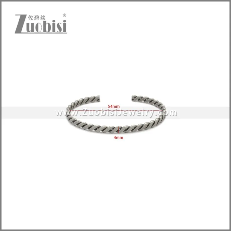 Stainless Steel Bangles b010190S