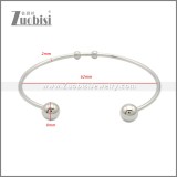 Stainless Steel Bangles b010212S