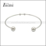 Stainless Steel Bangles b010212S