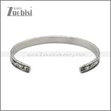 Stainless Steel Bangles b010214S