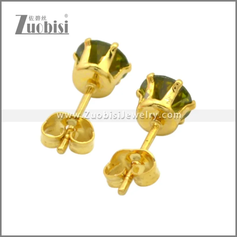 Stainless Steel Earrings e002262G2
