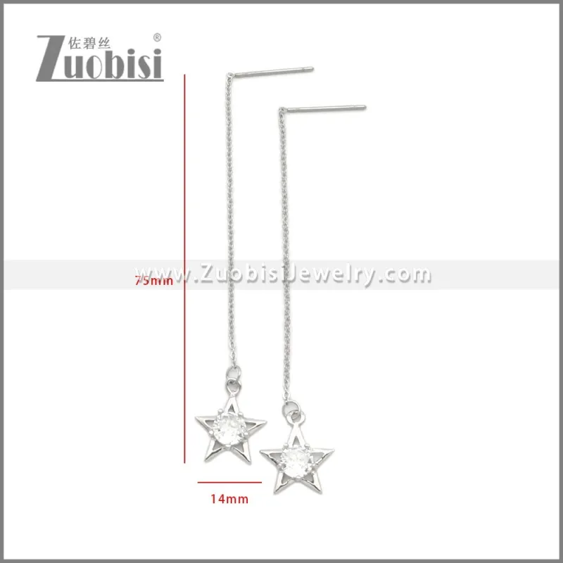 Stainless Steel Earrings e002259S