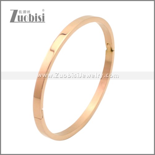 Stainless Steel Bangles b010350R