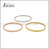 Stainless Steel Bangles b010350R