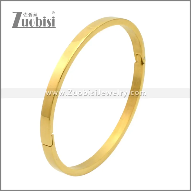 Stainless Steel Bangles b010350G