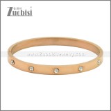 Stainless Steel Bangles b010345R