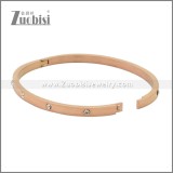 Stainless Steel Bangles b010344R