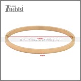 Stainless Steel Bangles b010350R