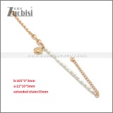 Stainless Steel Bracelets b010387R