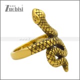 Stainless Steel Ring r009540GH