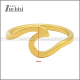 Stainless Steel Ring r009533G