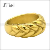 Stainless Steel Ring r009531G