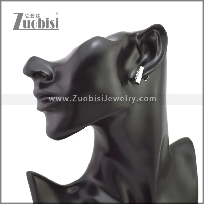 Stainless Steel Earring e002284S