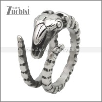 Stainless Steel Ring r009591SA