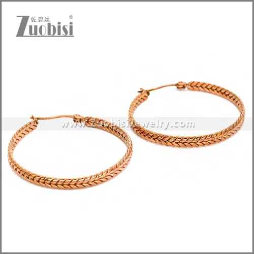 Stainless Steel Earring e002290