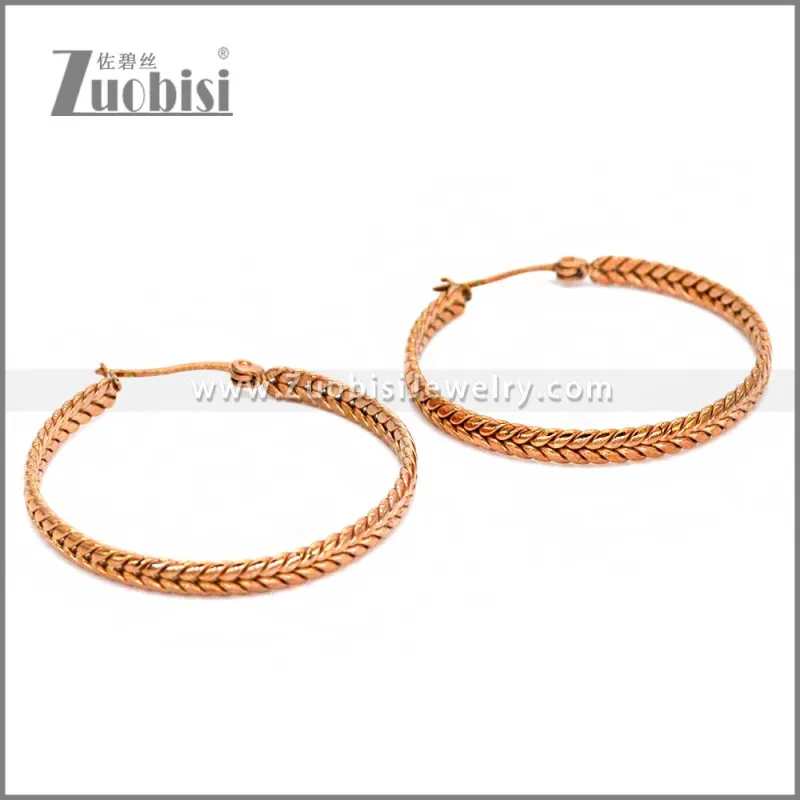 Stainless Steel Earring e002290