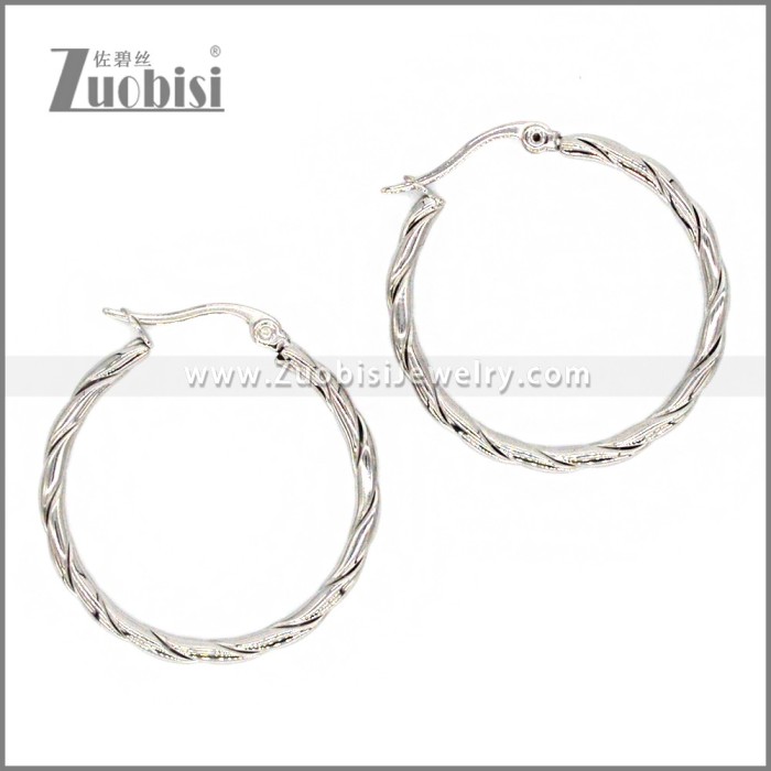 Stainless Steel Earring e002294