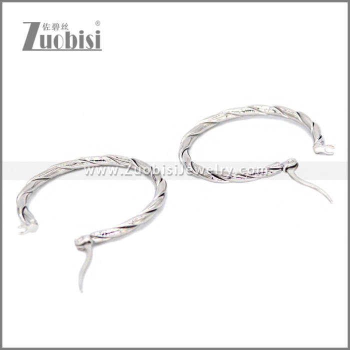 Stainless Steel Earring e002294